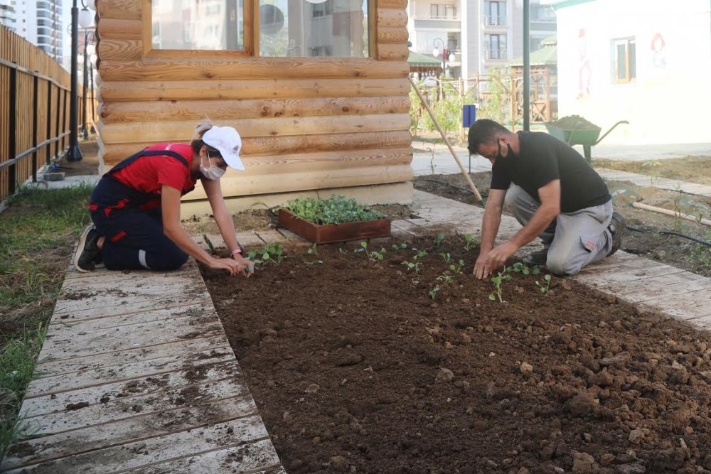 Atakum Belediyesi AtaTohum ile Karadeniz’e öncülük ediyor