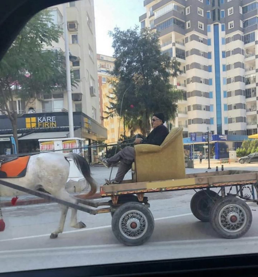 Keyfin böylesi: At arabasına koltuk yerleştirdi