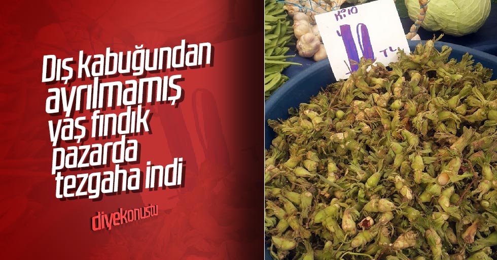 Yaş fındık tezgaha indi