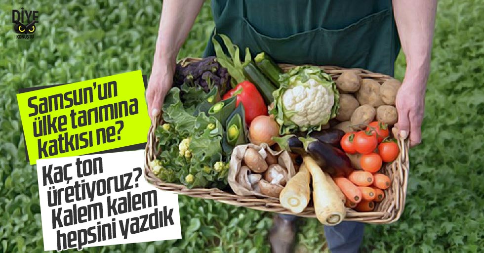 Samsun neyi ne kadar üretiyor?