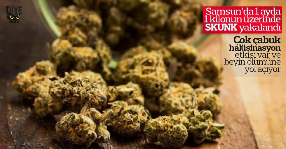 Valilik açıkladı: 1 ayda 1 kilodan fazla Skunk yakalandı