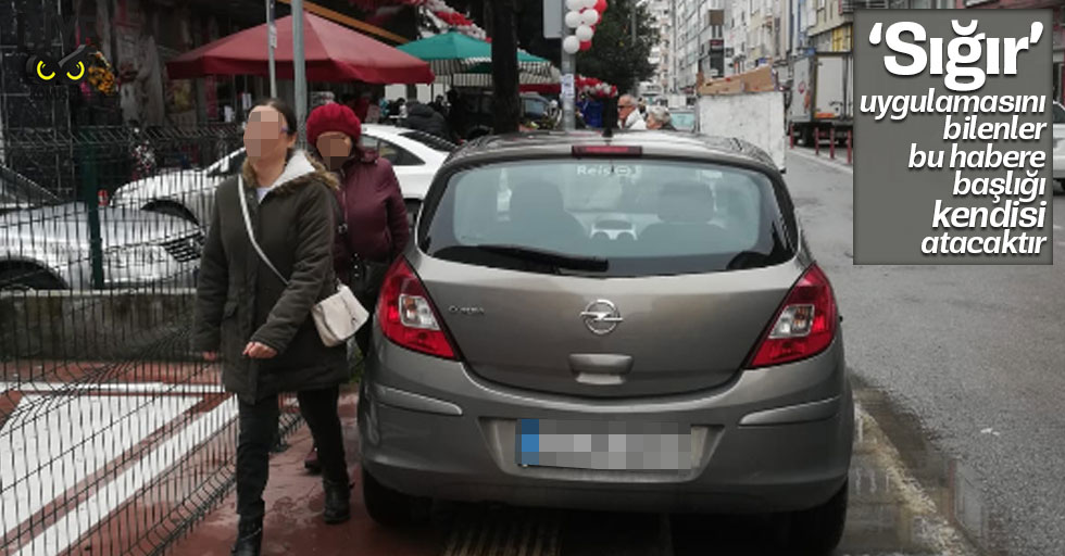 Şu ‘sığır’ın yaptığına bakın!
