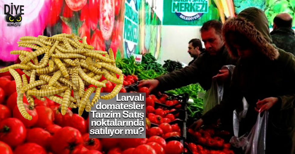 Larvalı domatesler Tanzim’de mi satılıyor?