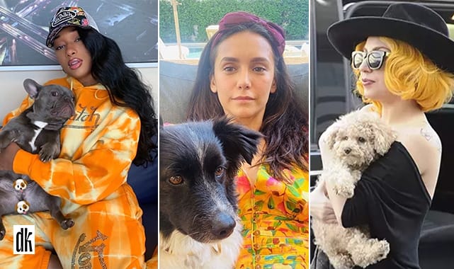 Ünlülerin hayvanları insandan daha çok para kazanıyor! İşte tek bir Instagram postuyla elde ettikleri gelir