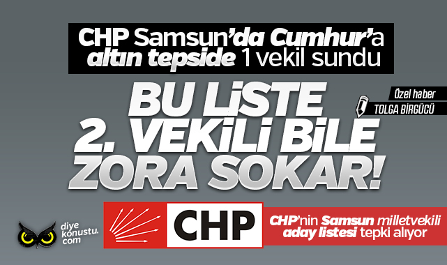 Chp Samsun Milletvekili Aday Listesinde Hangi Hatalari Yapti Tek Tek Isimleri Ve Detaylariyla Yazdik 1421 Jpg 2