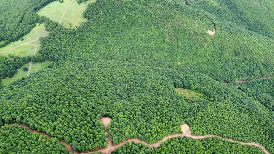 Kanadalı şirketin Türkiye taşeronu Samsun'u delik deşik etti! Geriye siyanür ve talan kaldı