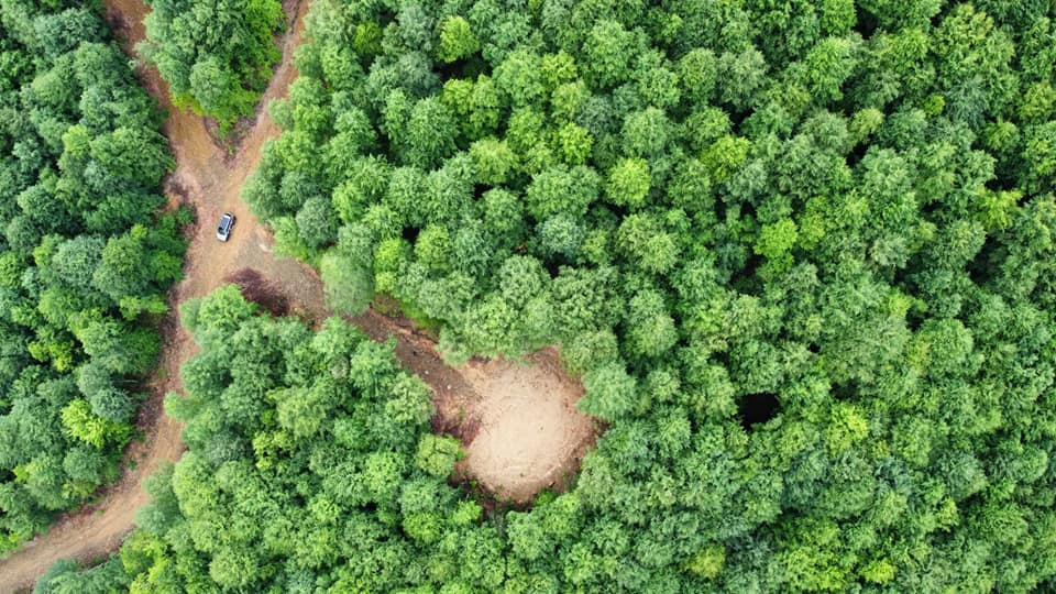 Kanadalı şirketin Türkiye taşeronu Samsun'u delik deşik etti! Geriye siyanür ve talan kaldı