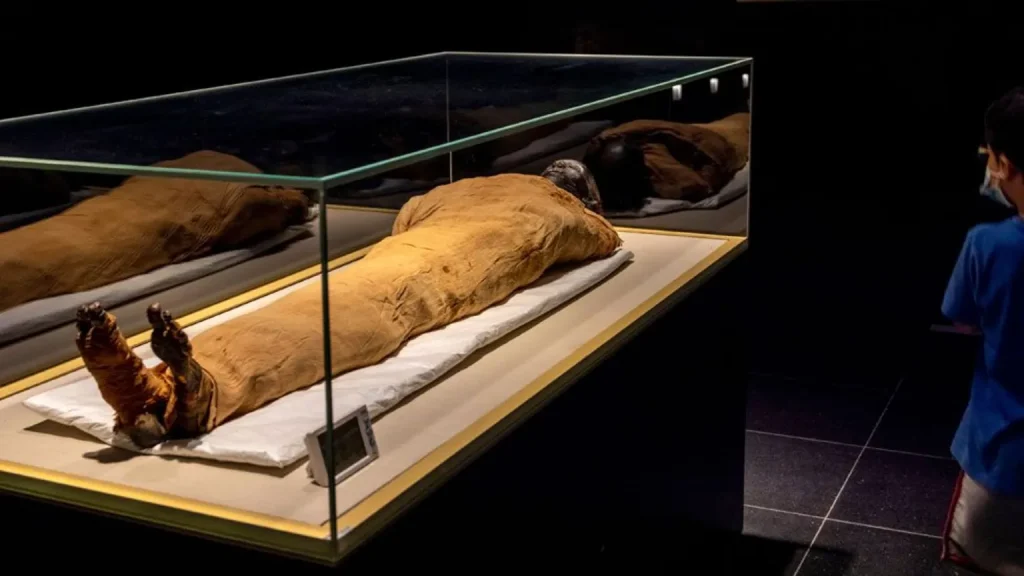 Tutankhamun’dan sonra bir ilk: Firavun Thutmose II’nin mezarı bulundu!
