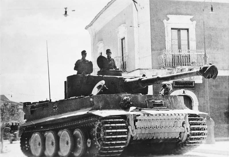 Tiger 17