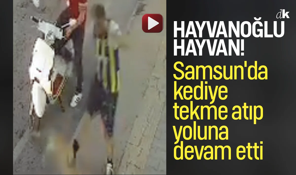 Samsun'da canilik kamerada! Kediye tekme atıp, yoluna devam etti