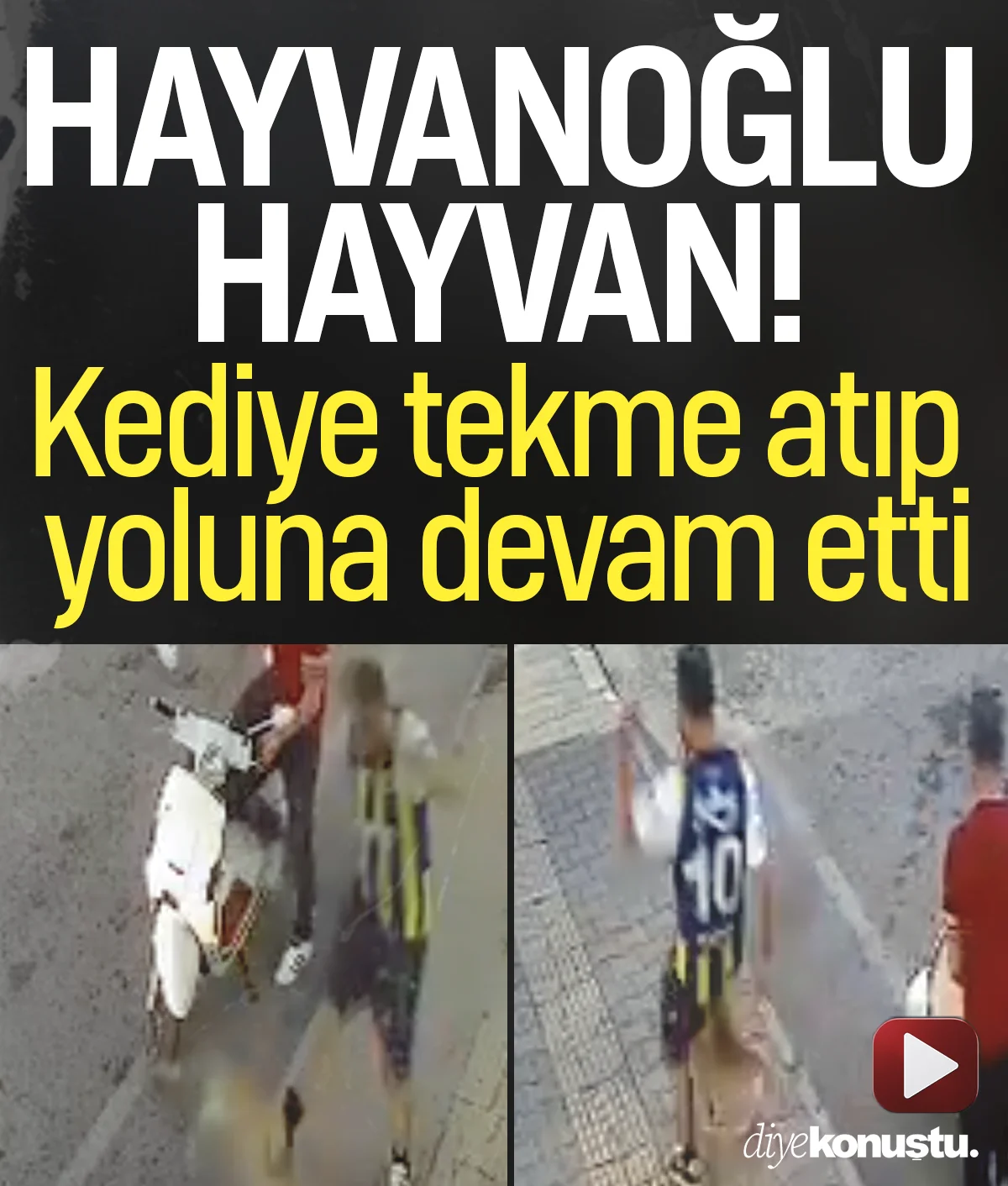Samsun'da canilik kamerada! Kediye tekme atıp, yoluna devam etti