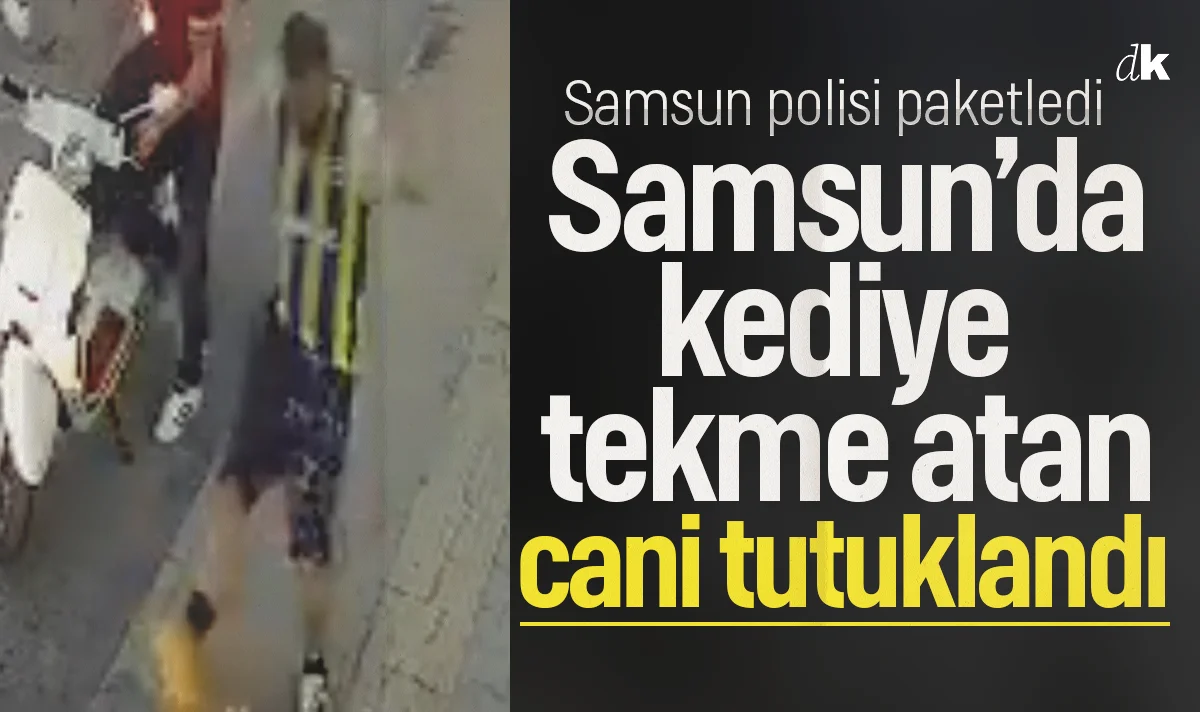 Samsun'da kediye tekme atan cani tutuklandı