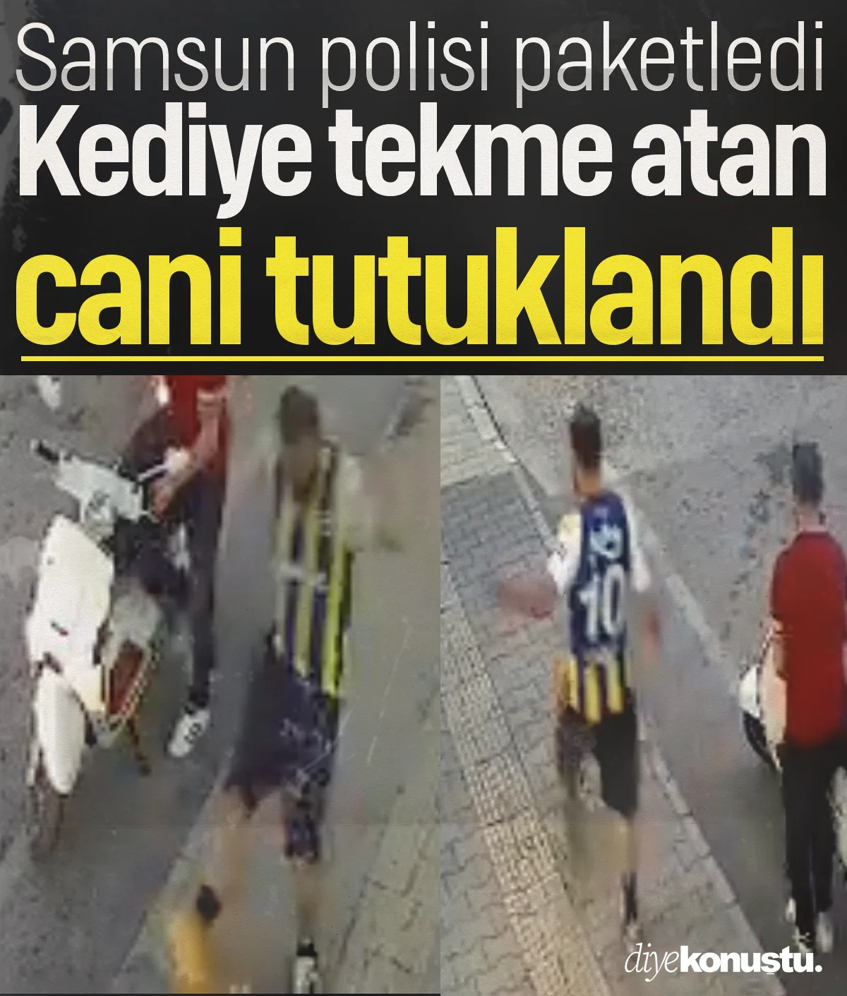 Samsun'da kediye tekme atan cani tutuklandı