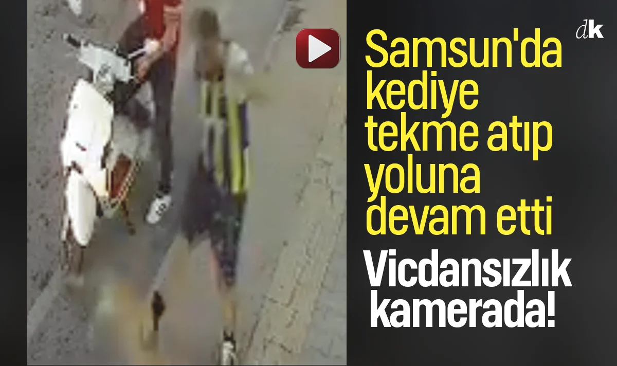 Vicdansızlık kamerada! Samsun'da kediye tekme atıp, yoluna devam etti
