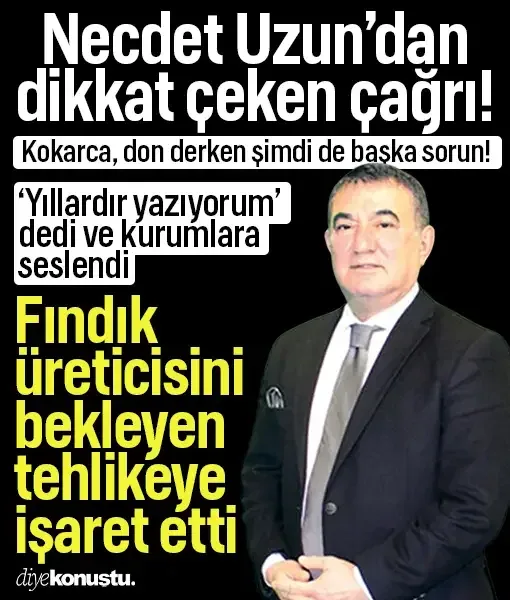 Fındık üreticisini bekleyen yeni tehlike! Necdet Uzun’dan dikkat çeken çağrı