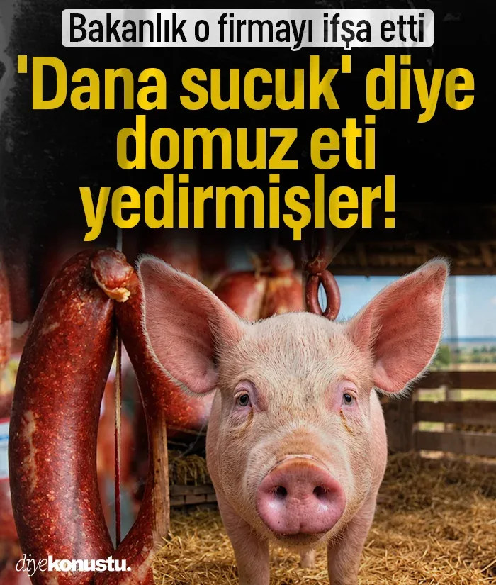 'Dana sucuk' diye domuz eti yedirmişler! Bakanlık ifşa etti: Skandal Türkiye gündemine girdi