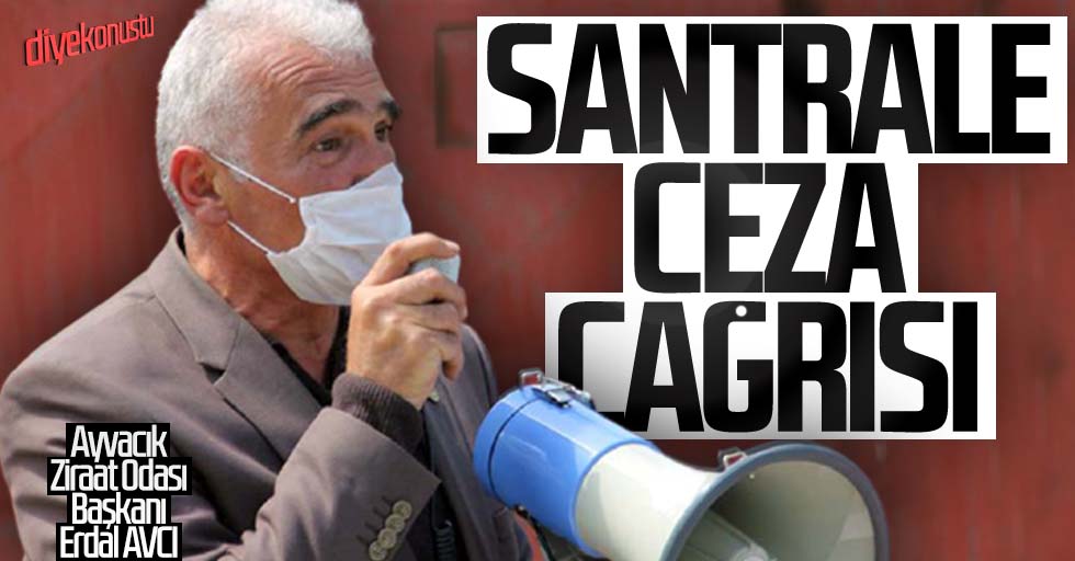 Hobi bahçesi örneği veren Erdal Avcı’dan santrale yaptırım çağrısı