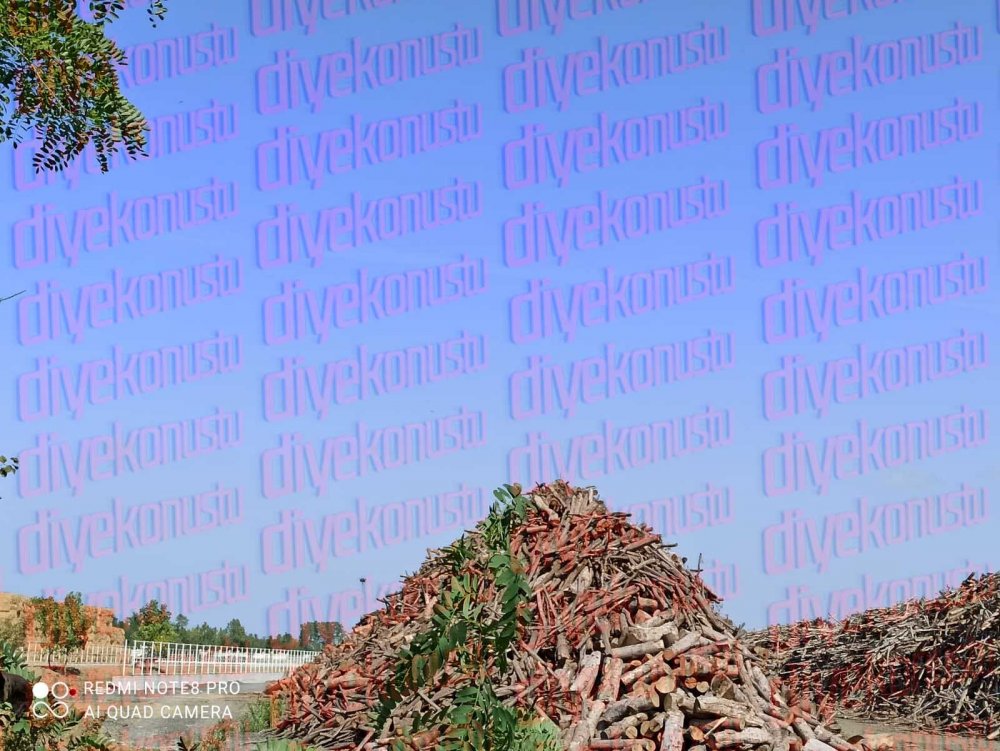 Santral davalara rağmen tam gaz: Ovaya yangın sistemi kurdular