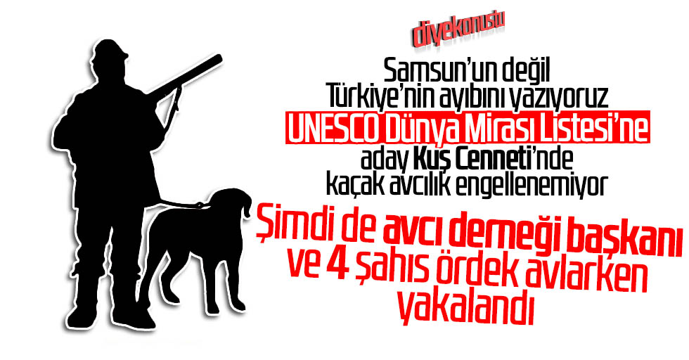 Samsun’da avcı derneği başkanı ördek avında yakalandı!