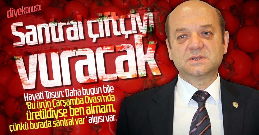Hayati Tosun: Santral çiftçiyi vuracak