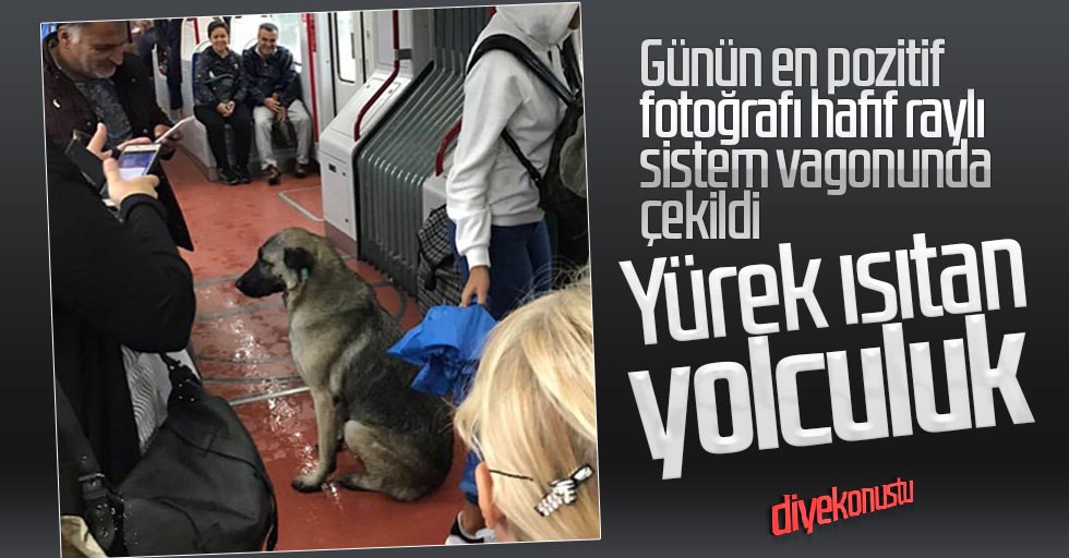 Yürek ısıtan yolculuk