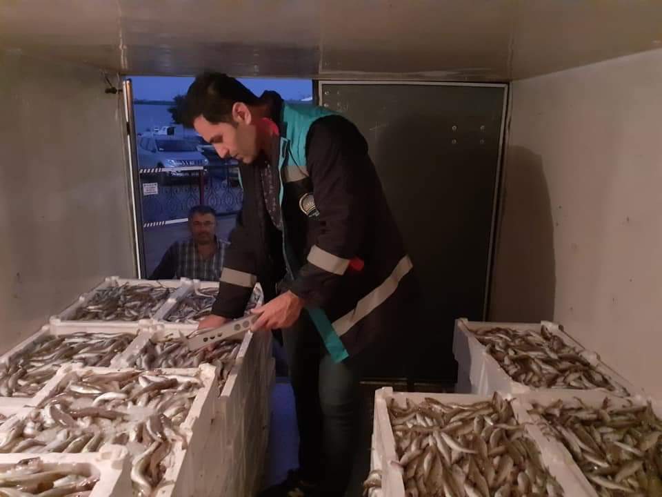 Samsun’da eşzamanlı balık denetimi