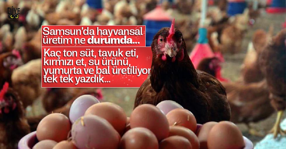 Hangi hayvansal ürünü kaç ton üretiyoruz?