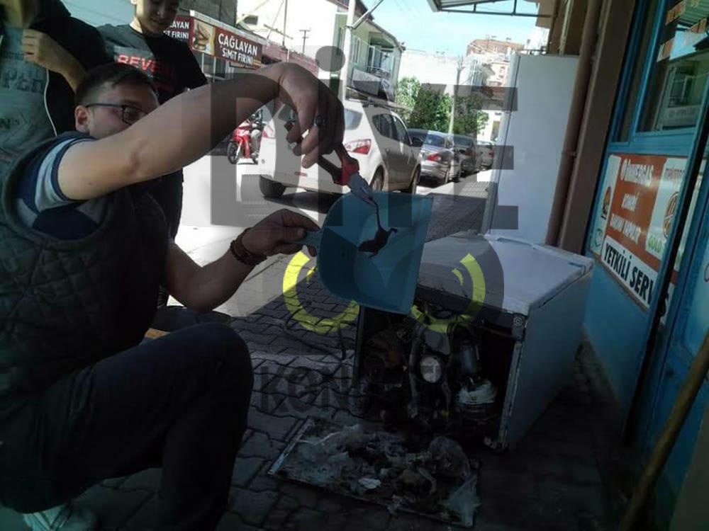 Bulaşık makinesinden çıkanlar tamirciyi şoke etti