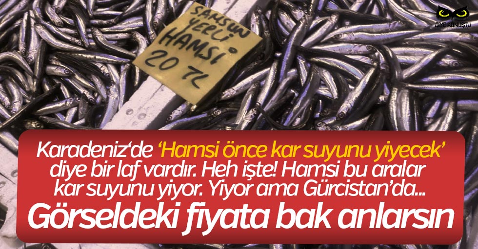 Hamsi soğuk suya kaçtı, fiyatı el yakıyor