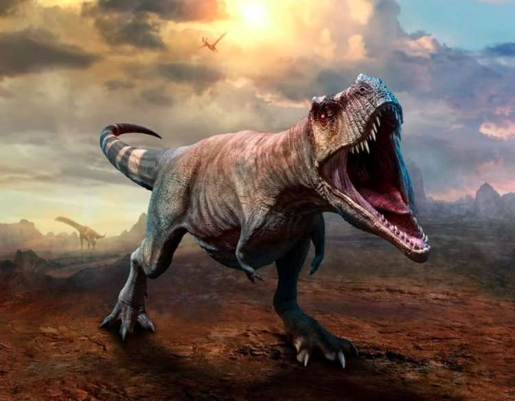 Dinozorları yok eden asteroidle bağlantılı ilk fosil bulundu