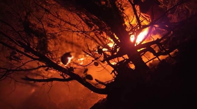Samsun’dan korkutan haber: Vezirköprü’de yangın çıktı