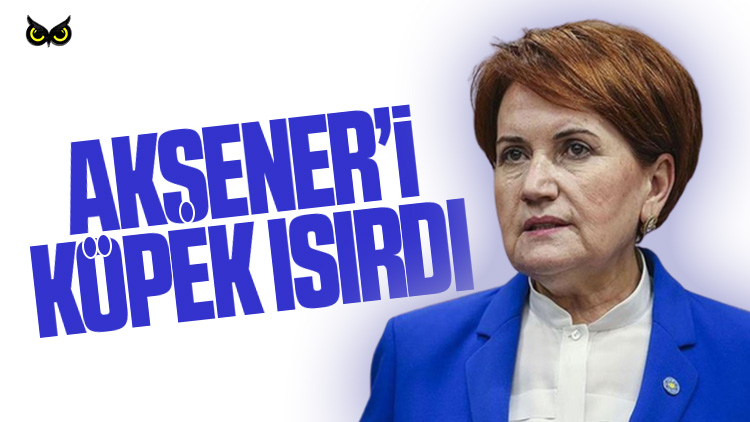 Meral Akşener’i köpek ısırdı