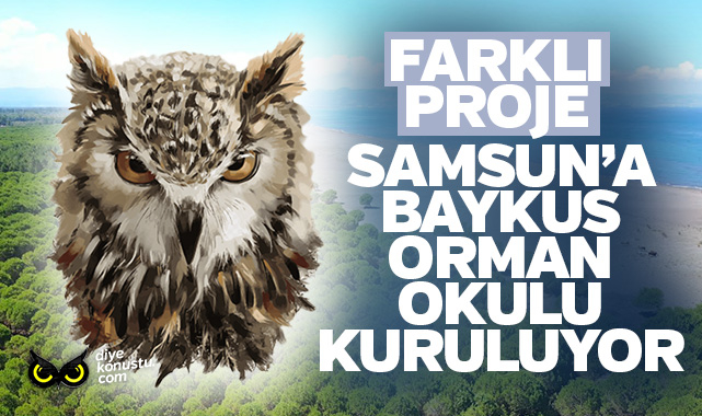 Samsun’a Baykuş Orman Okulu kuruluyor: Başkan detayları anlattı