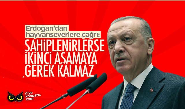 Erdoğan’dan hayvanseverlere çağrı: Sahiplenirlerse ikinci aşamaya gerek kalmaz
