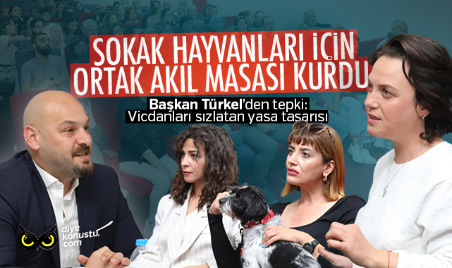 Atakum Belediyesi sokak hayvanları için ‘ortak akıl masası’ kurdu