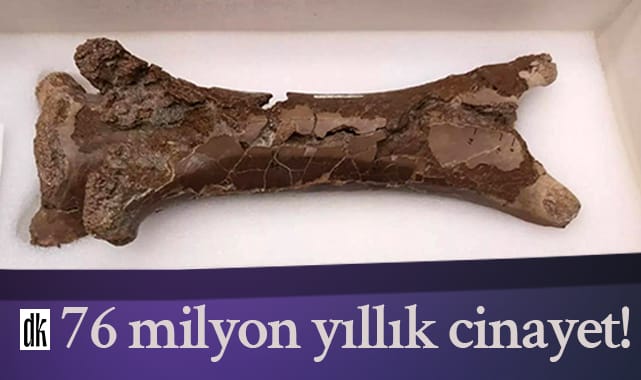 Katil bulundu! 76 milyon yıllık cinayet