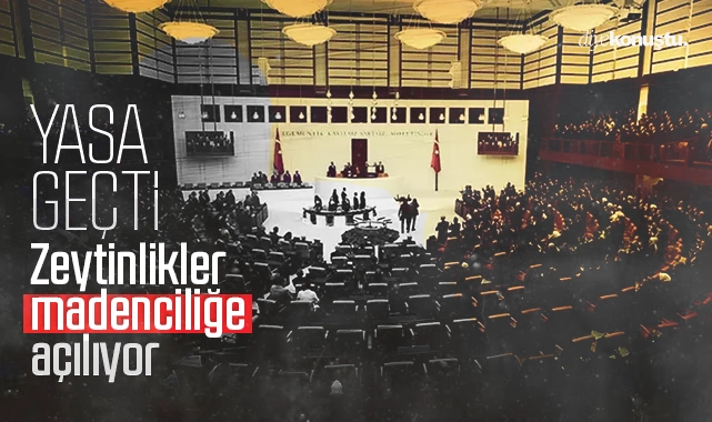 Zeytinlik alanları madenciliğe açılıyor: Yasa Geçti