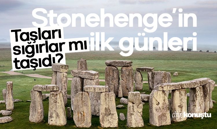 Stonehenge’in ilk günleri: Taşları sığırlar mı taşıdı?