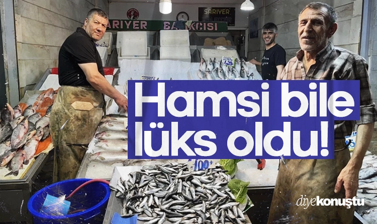 Balık sezonu sönük başladı: Hamsi bile lüks oldu!