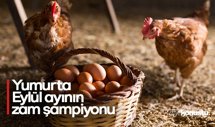 Yumurta zam rekoru kırdı