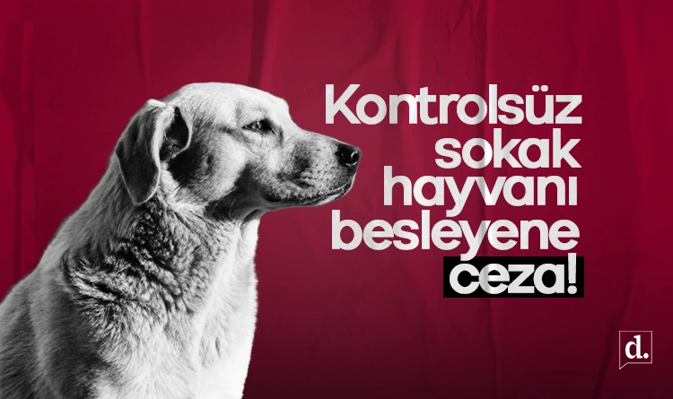 Genelge gönderildi, ceza kesilecek: Kontrolsüz sokak hayvanı beslemek yasak