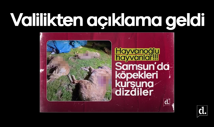 Samsun’da köpekleri kurşuna dizdiler! Valilikten açıklama