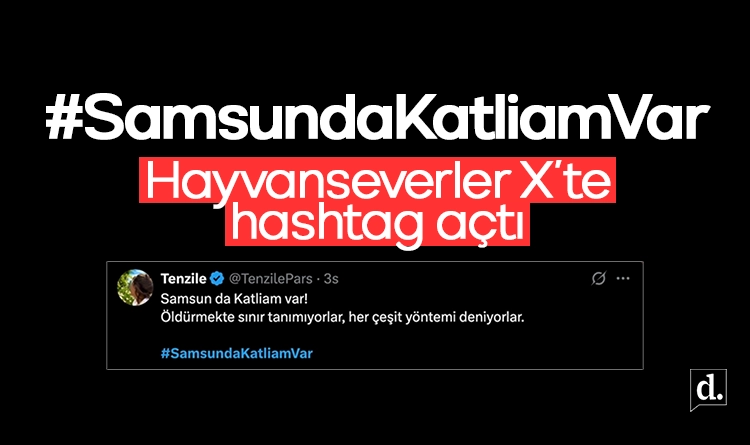 Hayvanseverler tepkili: X’te #SamsundaKatliamVar etiketi açıldı