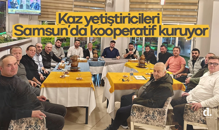 Samsun’da kaz yetiştiricileri kooperatif kuruyor