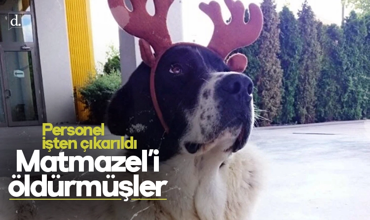 Matmazel’in ölümünde şiddet tespit edildi: Sorumlu personel işten çıkarıldı